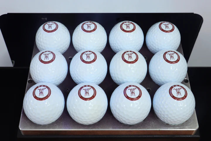 Refinecolor RF-GF1 UV Smart Golf Ball Printer image 10