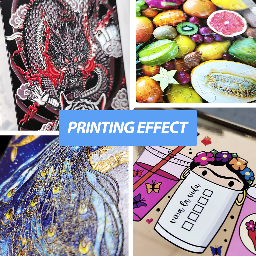 Refinecolor RF-ZZ1C UV Printer image 9